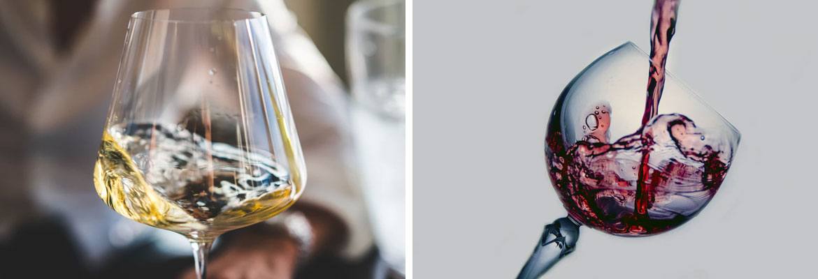 TANIN – TANNIN LÀ GÌ?